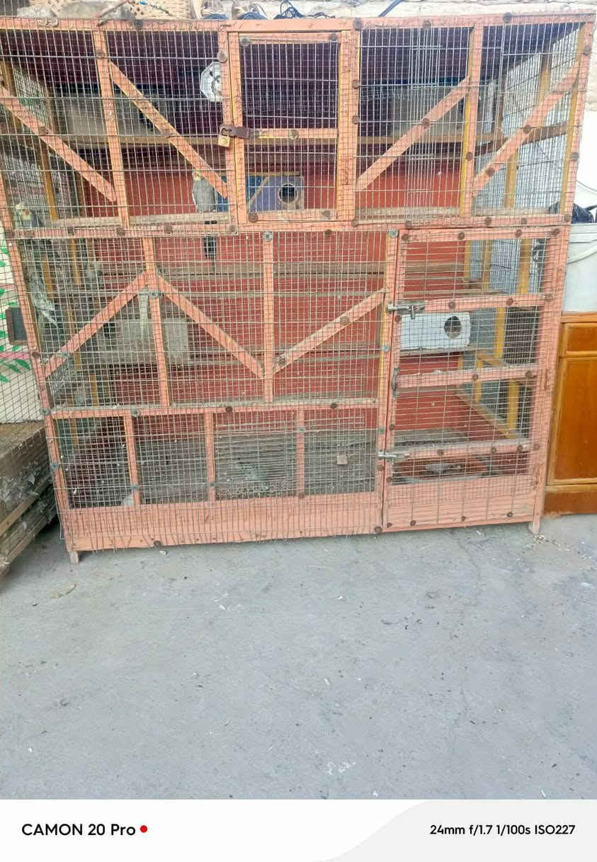 غراض للبيع مستعجله على بيعتهن كلمن وسعره


**إذا كنت صاحب هذا الإعلان وتريد حذفه لأي سبب، رجاءا أرسل رسالة إلى الدعم الفني**