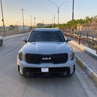 تيلورايد SX • ٢٠٢٤ • بدي مبدل ومصبوغ