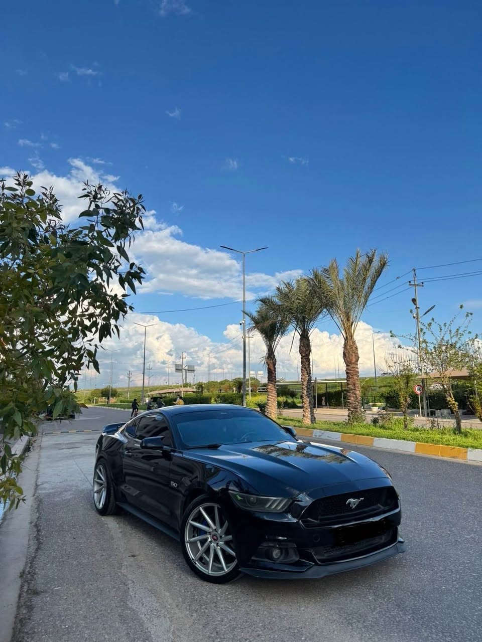 Mustang v6 2017
یەک پارچەی سبوخە بۆنیتی بەس سبوخ کرایتە رەش دەعمی نیە و ٢ پارچەی بیلادی گۆرایە بێ ژورێ بێ ایرباگ هەمووی بەشەرت ٦٢ مایل رۆشتیە گیر و مەکینە و کارەبایات هەموو شتی بە شەرتە ٤ تایەی لۆکی لەسەرە و جوانترین ویلی حەجم ٢٠ی لەسەرە  هەموو شتی هاتیتەوە سەر بیلادی لە هیچ شتەکی نوقستان نیە 

فقط بونيت صبوغ
بدون دواخل بدون ضربه كلشى بشرط
بس هذا بونيت مسبوغ
تغير قطعتين بدون ايرباگ بدون دواخل ماشيه 62 مايل گير ومكينه وكهرباييات كلشى بشرط
اربعه ويل كب جديد طايات جديد
كلشى مرجوع ب بلادى
مابى نقص نقطه
كلشى مرجوع ببلادى أربيل, العراق


**إذا كنت صاحب هذا الإعلان وتريد حذفه لأي سبب، رجاءا أرسل رسالة إلى الدعم الفني**