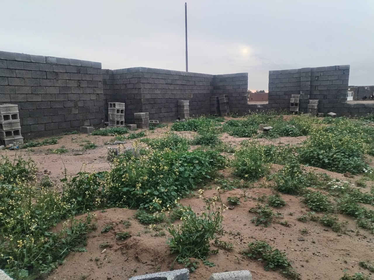 الدال على الخير كـ فاعله
لمن يود التجارة مع الله 

مسجد واصل حد الرباط لمن يريد المساهمة 

***********
