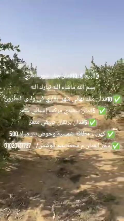 《للبيع 》10فدان ملك شهر عقاري
بسم الله ماشاء الله تبارك الله 
✅ 10فدان ملك نهائي شهر عقاري فى وادى النطرون 
✅  5فدان سفندي مركت إسباني مثمر 
✅ 5فدان برتقال صيفي مثمر 
✅ كهرباء +طاقة شمسية وحوض بئر مياه 500
✅ سعر الفدان م محمد عبد الونيس/    01020131727


**إذا كنت صاحب هذا الإعلان وتريد حذفه لأي سبب، رجاءا أرسل رسالة إلى الدعم الفني**