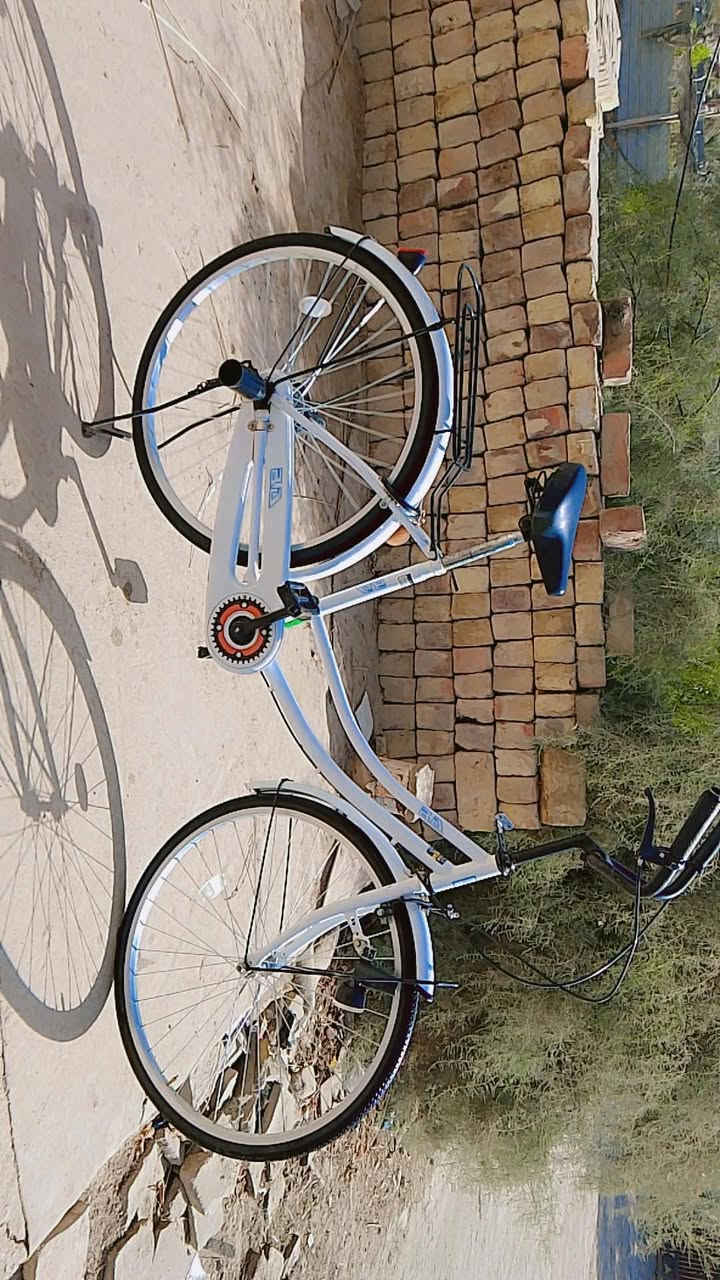 سلام عليكم بايسكل للبيع السعر خاص مكاني بابل


**إذا كنت صاحب هذا الإعلان وتريد حذفه لأي سبب، رجاءا أرسل رسالة إلى الدعم الفني**