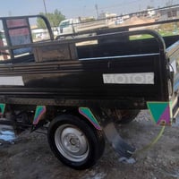 07831336491 شباب ستوته للبيع 2022 كفاله عامه