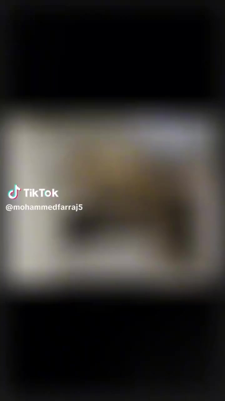 بسسسسس 
سعر المتر الطولي
مضمون
غير شامل الجرانيت
 والضامن الله
تصميم وتفصيل أفخم ديكورات مطابخ الألمنيوم بجميع انواعها واشكالها كفــــــــــــــالة الى ما شاءالله 
ملاحظه ....
شوف شغل السوق وشوف شغلنا وجرب شغل السوق وجرب شغلنا  
0788137450ليث 
خريس  ملك المطابخ والديكور اقسم بالله يا @


**إذا كنت صاحب هذا الإعلان وتريد حذفه لأي سبب، رجاءا أرسل رسالة إلى الدعم الفني**