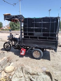 ستوته ام طير • هندر واحد • ٢٠١٧