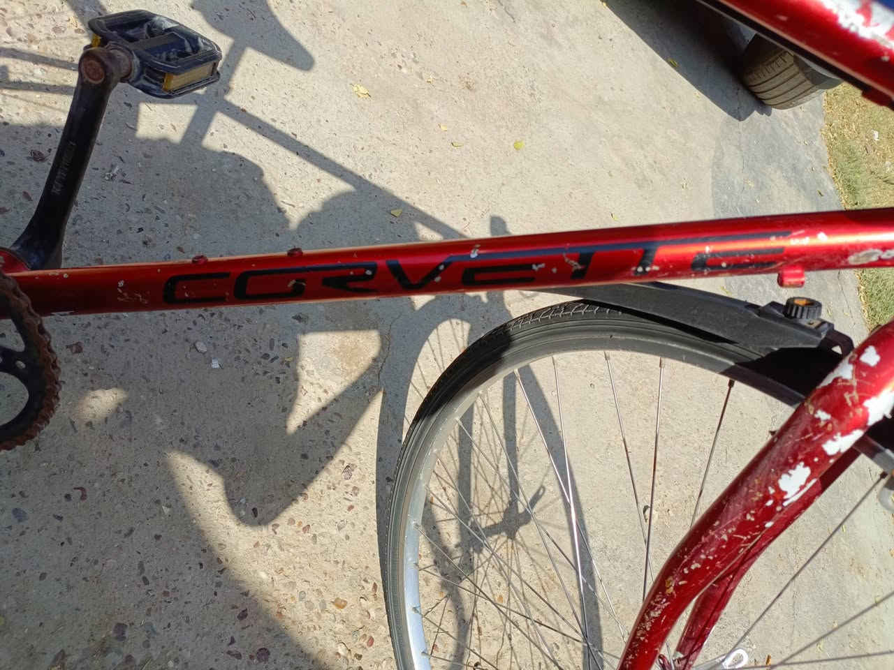 السلام عليكم عندي بايسكل سي700للبيع جاهز حجم 27شركةGMبلادي مكاني بغداد الزعفرانية سعرة125للتواصل***********
