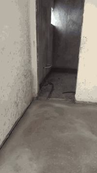 ✅ئامادەین بۆیشی کاشی بەشێوازی هەندەسی
✅بۆدانانی کاشی گەورەوبچوک
🔨بەئەزمونی 15ساڵ کارکردن
بۆزانیاری زیاترپەیوەندی بکەن📌
***********📞
