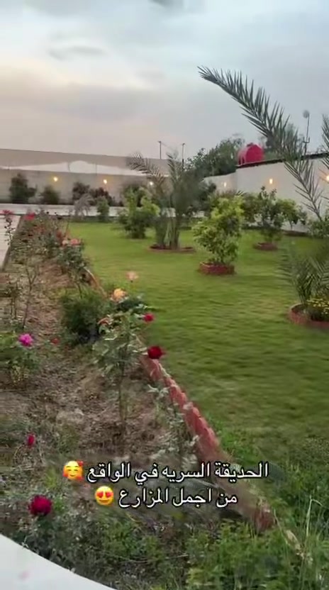 متوفره #عدة مزارع في بلد وبغدادوباقي المحافضات احجز واستمتع في عطلة الصيف مع مزارعنا 🏝️🏖️🏕️
للحجز والاستفسار يرجى التواصل على الواتساب ‭٠٧٨٧ ٦٩٩ ٥٨٧٦‬
