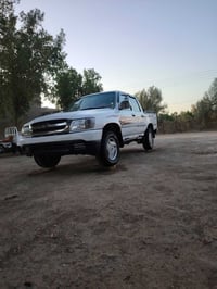 دير • ٢٠٠٦ • مصبوغ