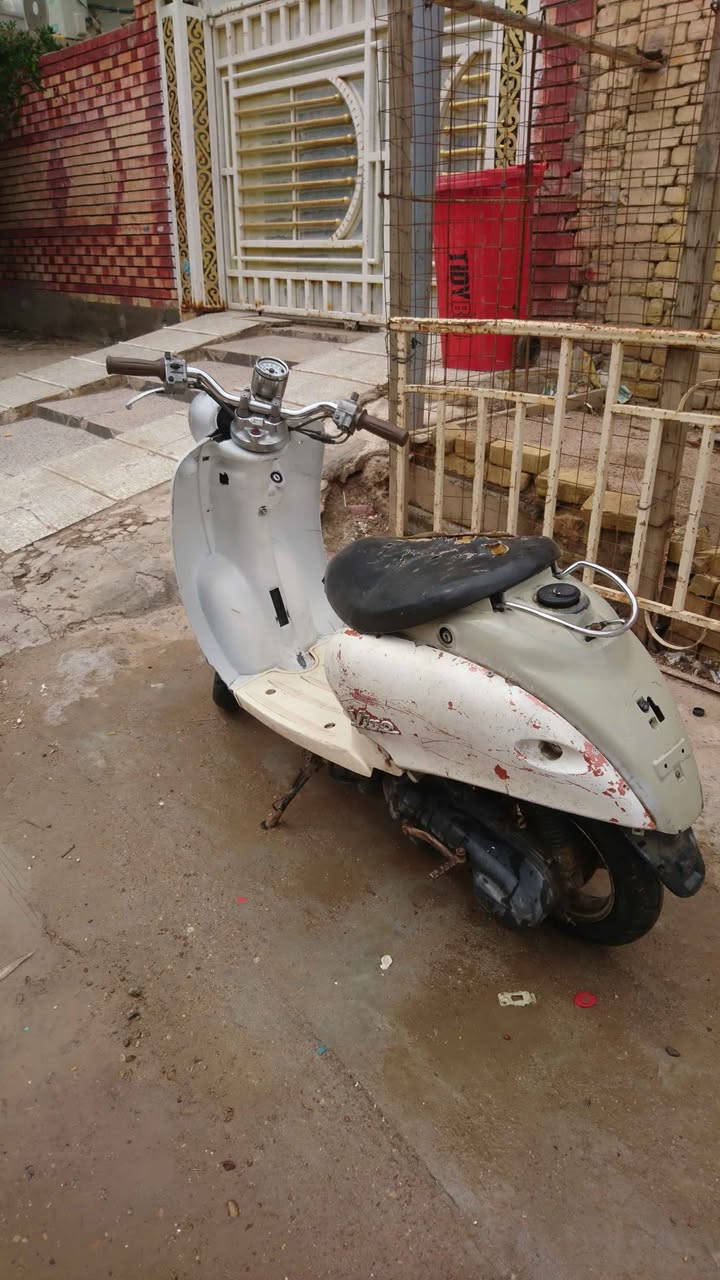 دراجه عبد الحليم
نضيفه شلعه ومعدل مكينه ما ادري بيه مفتوحه او لا
ضفيره نضيفه شد ايدي دراجه ما عوزها شي شغاله تجي تشغل وتمشي كابريته مال تفصيخ اصلي البارحه شديتها عمارة, ميسان


**إذا كنت صاحب هذا الإعلان وتريد حذفه لأي سبب، رجاءا أرسل رسالة إلى الدعم الفني**