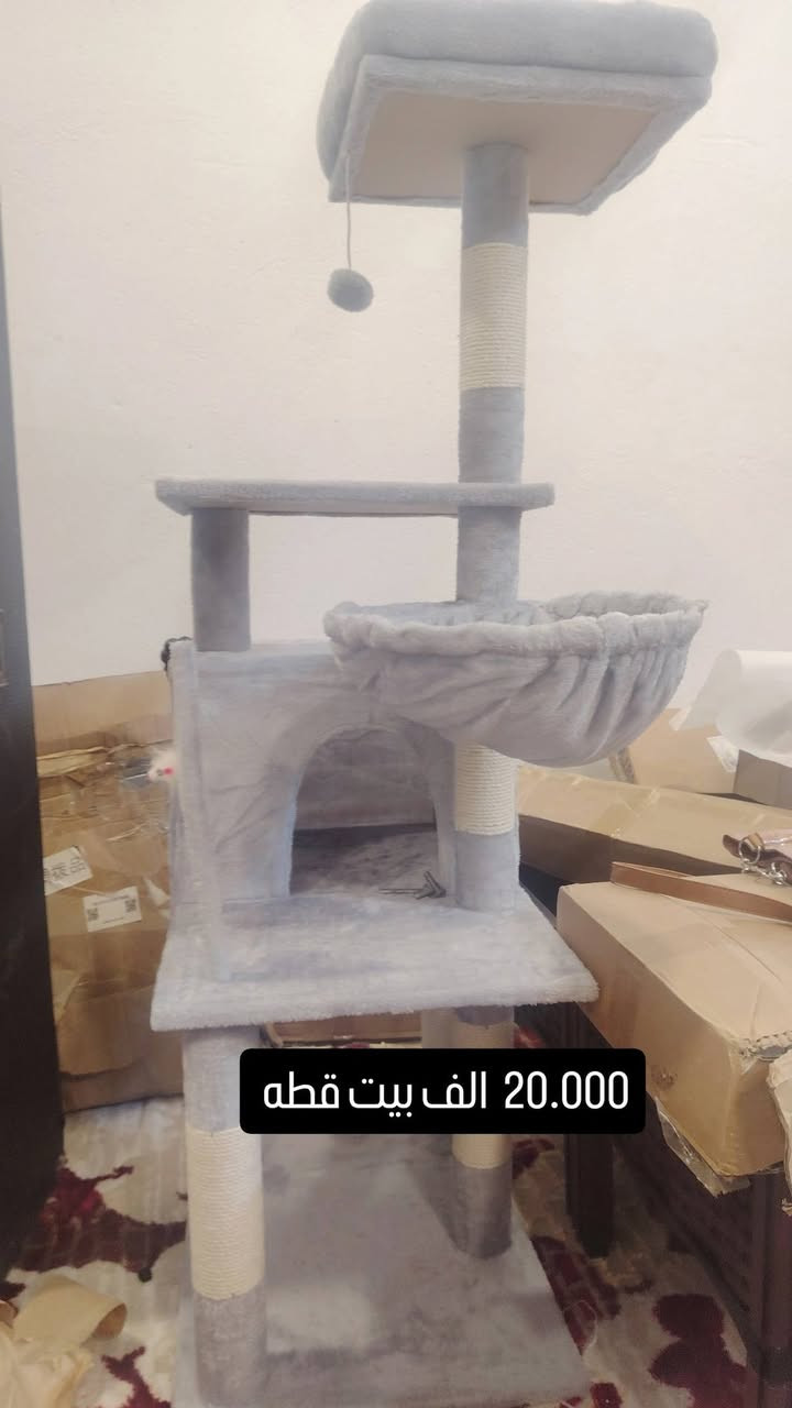 السلام عليكم اخوان هاي بضاعه امزون خشن للبيع الي يحب يتواصل عالخاص 0772715167 وانشاء الله اليوم عندي بث الساعه 1ضهرا عالتكتوك اسم البيج مجمع الاخوين للامزون واهلا وسهلابكل الحضور 
شكر وتقدير الي مدير الكروب واعضاء الكروب الكرام


**إذا كنت صاحب هذا الإعلان وتريد حذفه لأي سبب، رجاءا أرسل رسالة إلى الدعم الفني**