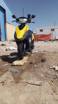 ماكس • ٥٠ • سلف