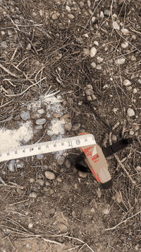 قطعه ارض طابو ملك صرف عل طابو محموديه 
مقاطعه 15 مساحهته 80 متر عل شارع 15 
لاستفسار اكثر ***********
