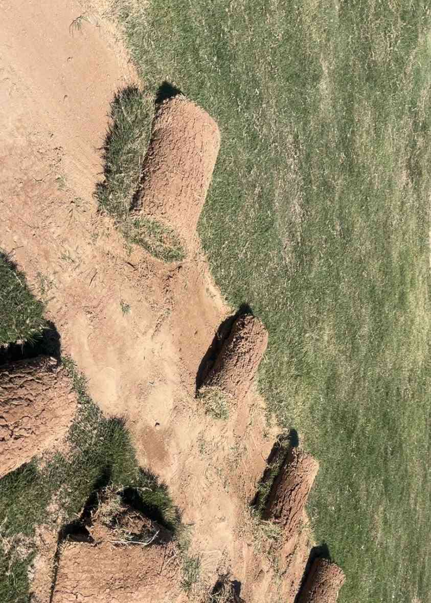 ثيل هندي شرط النظافة درجة اولى
عرض خاص سعر المتر 2000 للطلب الاتصال على الأرقام التالية 
***********
***********
