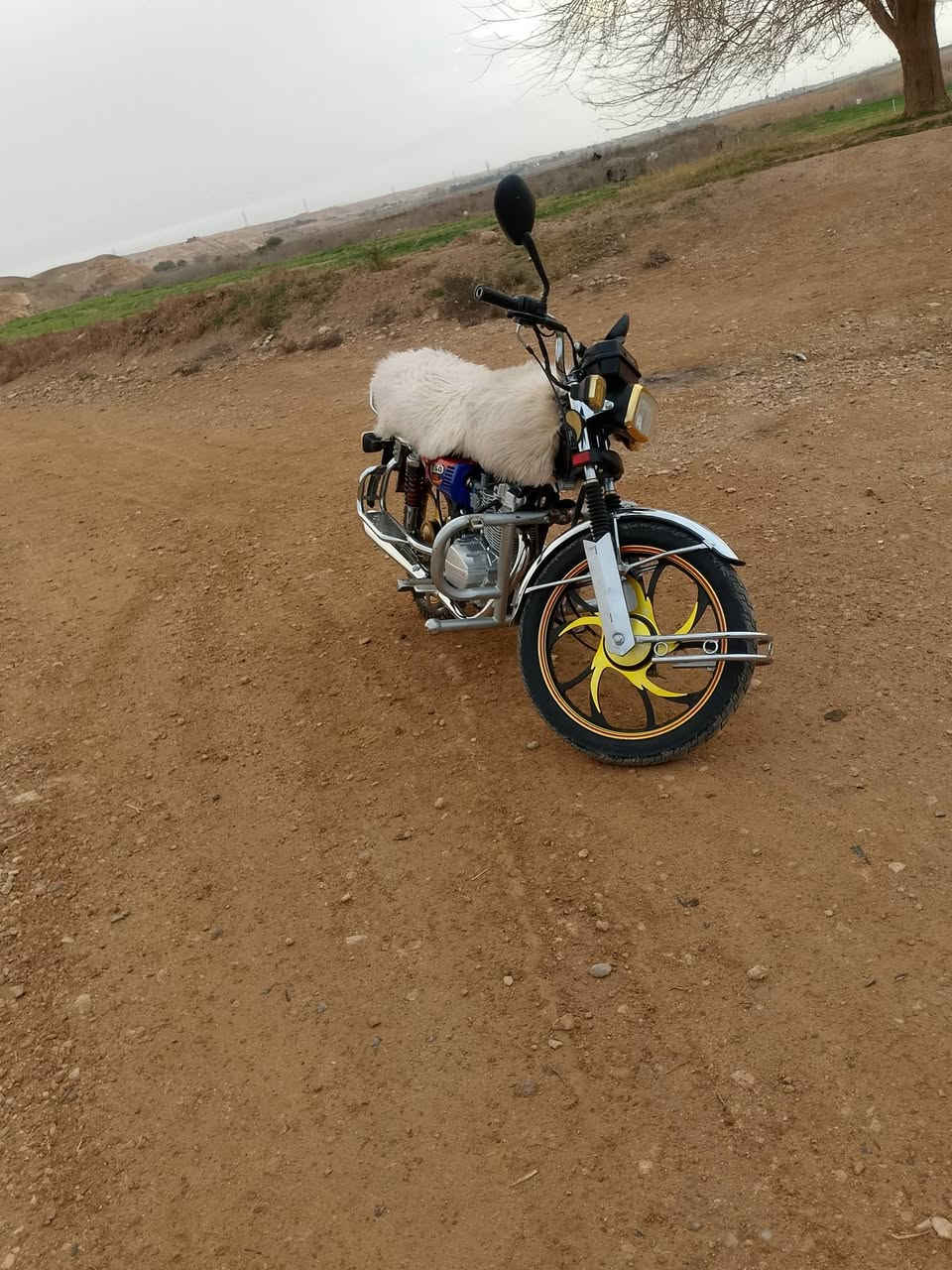 دراجه سولنك البيع نضافه خير من الله  موديل 2022 مكمرك عله حض راعيه الشراي ينورني خاص ادمن حب


**إذا كنت صاحب هذا الإعلان وتريد حذفه لأي سبب، رجاءا أرسل رسالة إلى الدعم الفني**