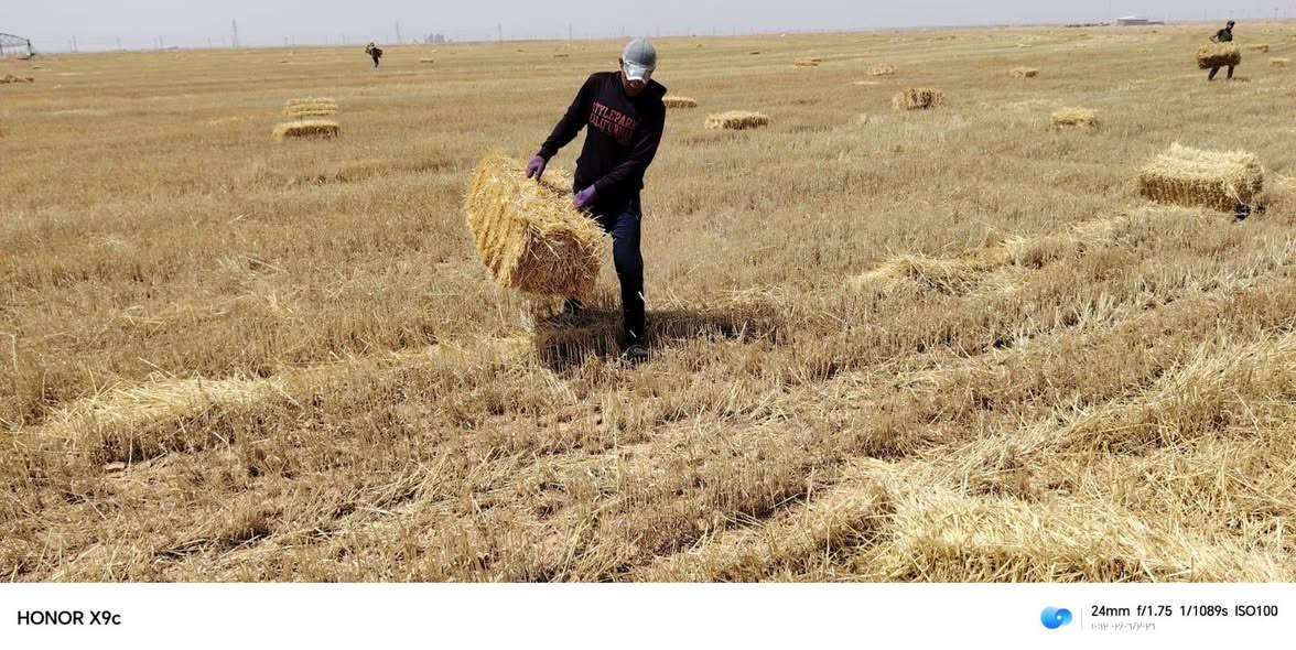 وينه الدور الزين بس يمنه موجود
توصيل جميع المحافضات 
***********
