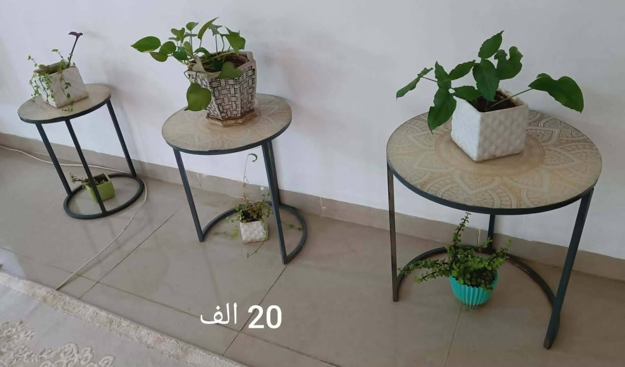 للبيع غراض كله جديده ونظيفه مكان اربيل


**إذا كنت صاحب هذا الإعلان وتريد حذفه لأي سبب، رجاءا أرسل رسالة إلى الدعم الفني**