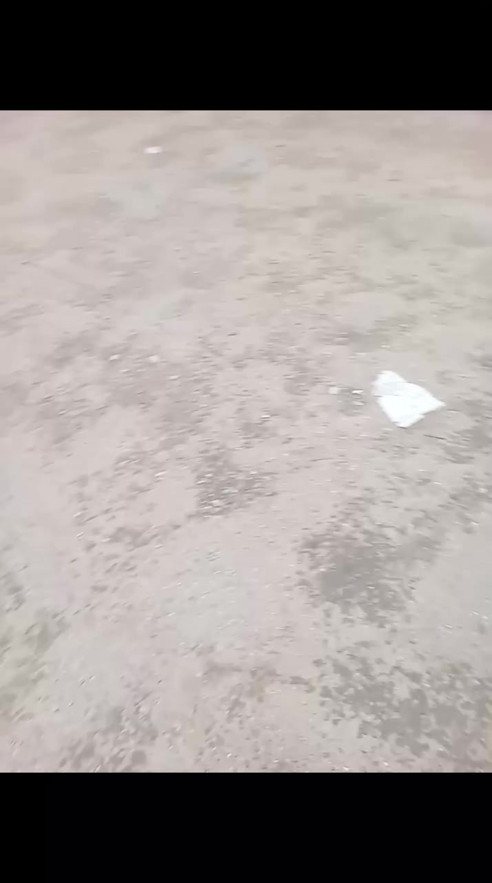 بريجو للبيع
موديل 1995 راعيها موجود رقم ألماني سنويه منتهيه ب 2019 شواصي بلاد برانكيتات نضيفات حداديه من طول لطول مكينه تخبل خير من الله بس بيها نفخه من القبق قليله غرامات ما عليه بس الهيئه ما اعرف شكد عليها ع المشتري ابيع ما الي علاقه بهيئه او غير شي مكاني بصره شط العرب ***********
