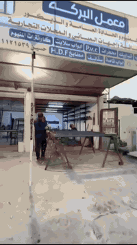 07713131585 حداده عامه