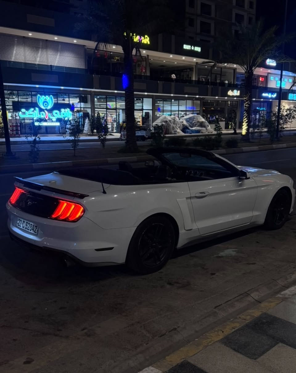 موستنك ايكو بوست كشف بريميوم 2018 فول مواصفات
ماشيه 65 الف ميل
السياره باسمي رقم اربيل(وكاله او تحويل)
مكان السياره بغداد/حي الجهاد
محرك 2.3 تيربو
مكينه كير كفاله
السعر 139$
الرقم ***********
