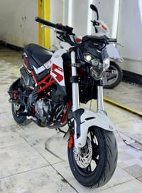 بنلي ١٣٥ • TNT • ٢٠٢٤