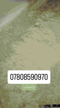 ماكينة تعبئة للبيع
ماكينة تعبئة السوائل من ماركة أفات (عصائر.لبن ، ماء، حليب)
قادرة على تعبئة 20 كوبًا في 5 ثواني

قابلة للغسل
الماكينة مزودة بمضخة، وصلات، محول كهربائي
وصينية مرفقة.

جديد مامستخدمة
الستفسار خاص 
او واتساب ***********
