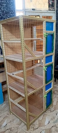 خانة طيور • ثلاثية • ١٦٠×٧٠×٥٠