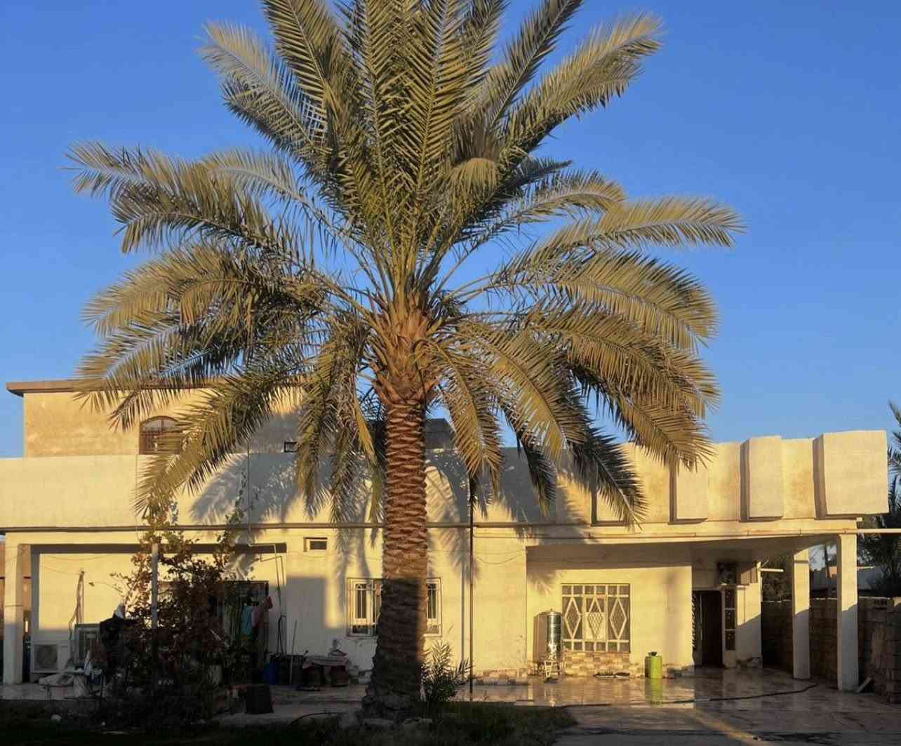 السلام عليكم بيت طابو ملك صرف سند مساحه 357 متر متكون من 4 غرف وهول وربعه ومطبخ وحديقه واسعه  الطابق الارضي سيراميك وايضاً  ركن على شارعين المربع الاول من الحي العسكري تحويل مباشر قرب دائره قائم مقام العلم  
***********
