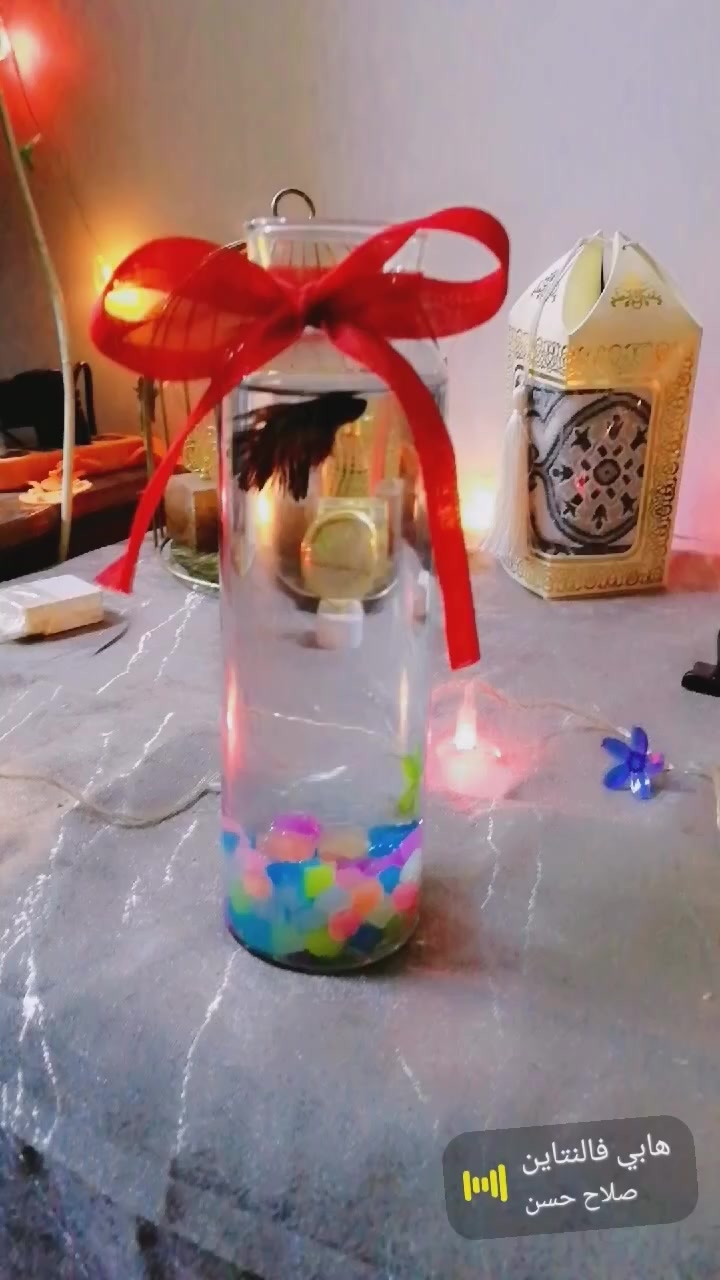 هابي فلنتاين
احلى هدية وانسب الاسعار 
ب6 الف فقط سمكه ودورق وكيس اكل


**إذا كنت صاحب هذا الإعلان وتريد حذفه لأي سبب، رجاءا أرسل رسالة إلى الدعم الفني**