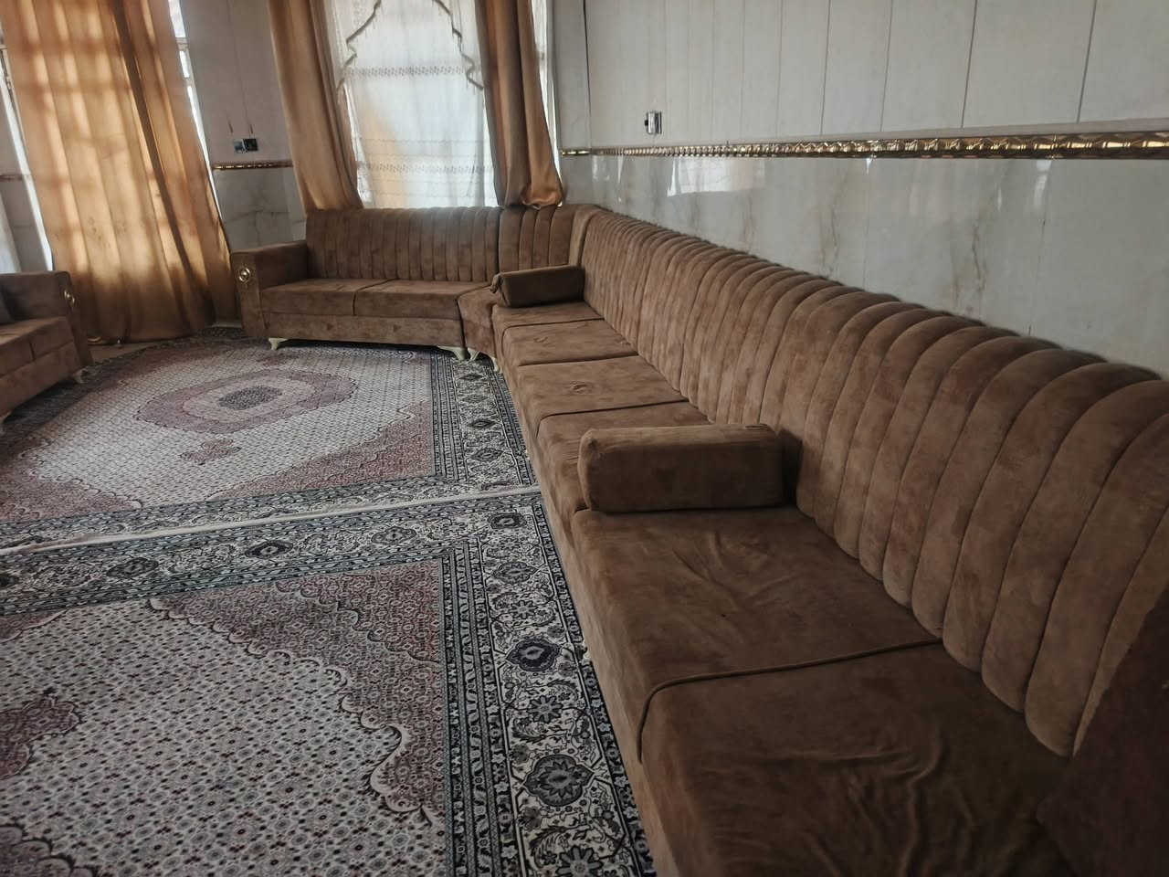 تخم تسكام درجه اولى للبيع ***********
