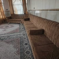 تخم تسكام درجه اولى للبيع 07819453547