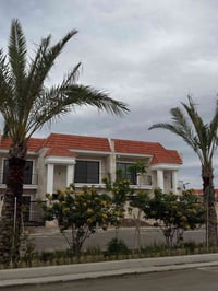 بيت للبيع بمجمع أسد بابل  المساحة 200م  للاستفسار 07890088320