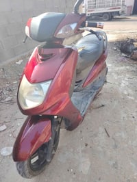 سكنس نثيه كوري للبيع السعر ٦٠٠ وبيه مجال المكان الكراده والأمين للاستف...