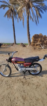 دراجة للبيع • النجف الحريه • بيه مجال