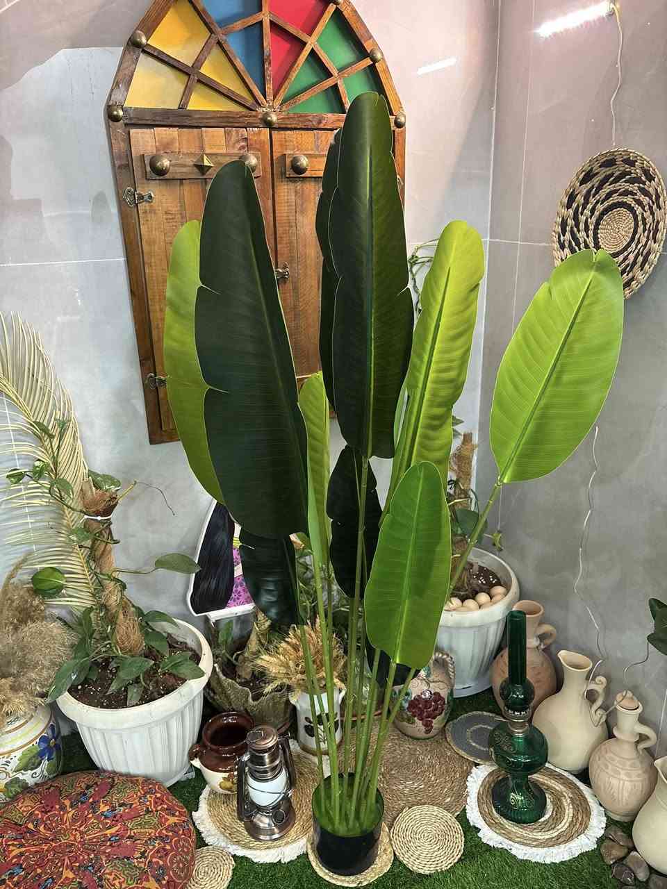 شجره موز اول تم ٢٥


**إذا كنت صاحب هذا الإعلان وتريد حذفه لأي سبب، رجاءا أرسل رسالة إلى الدعم الفني**