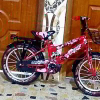 بيسكل حجم 18 سعر الخاص (07723383438