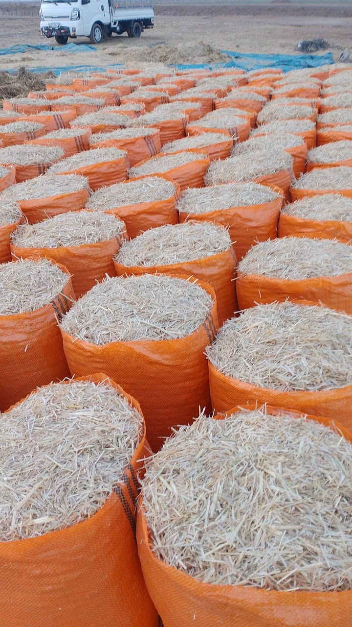 تبن للبيع  يوجد كافت القياسات  يوجد توصيل  كربلاء     وبابل. واسط رقمي *********** اث
