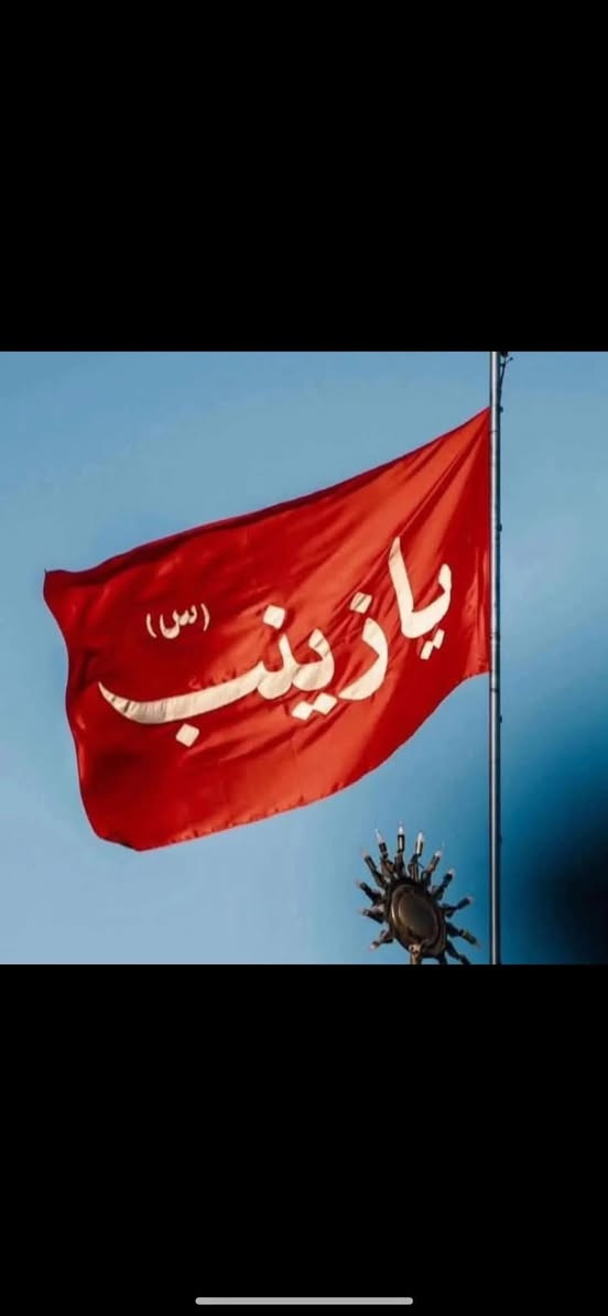 #آخر 7مقاعد غداً #الخميس_1_ضهرا..❤️ النفر 8 الف فطورك #وسحورك بين الحرمين ❤️
#حمــــــلة العقيلة زينب 

🛑 كربلاء المقدسة ✅

#السيارة_تجيك_الاقرب_نقطة_دالة✅
#العوده_الجمعه_بعد صلاة _الصبح_✅❤️

واتساب ***********

الحجز***********
