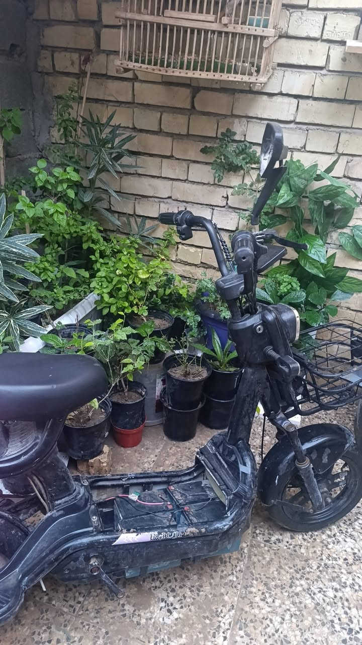 دراجه شحن يحتاج له شي بسيط ب100وبيه مجال على بيعته مكانه بلشعب


**إذا كنت صاحب هذا الإعلان وتريد حذفه لأي سبب، رجاءا أرسل رسالة إلى الدعم الفني**