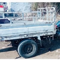 موديل 15 • بدون أوراق • شاصي مكفول