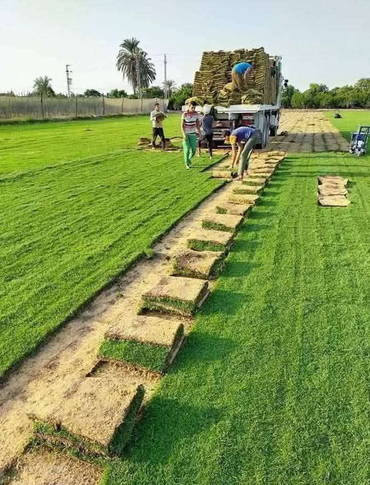 مرحبا زبائنا الكرام نوفر لقد عدنا لكم بل موسم الجديد للزراعه الحدائق بكادر مختص 
  افضل انواع الثيل
الطبيعي وبجوده عاليه
بكافة انوعه🌲
الفرنسي🇫🇷
والايطاليا🇮🇹
والهندي🇮🇳
وبأسعار تنافسيه$
وتوصيل مجاني لجميع محافضات العراق 🚗
للتواصل الاتصال على الرقم ***********
