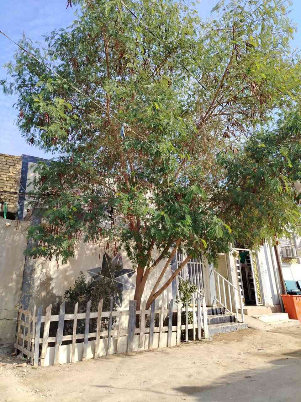 للبيع بيت زراعي قرار 25 

شارع المطار القديم شارع ابو جميل مقابيل مدرسه انوار السجاد بفرع الجامع مساحه البيت ١٢٥م السعر ٤٠ مليون عمر البناء ٥ سنوات 

للتواصل :
***********
