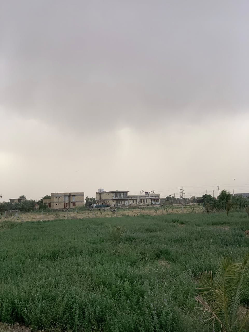جت لاحك للبيع دونمين قضاء الدغارة عالشط قرب مرمض للاستفسار الاتصال 
‭***********‬
