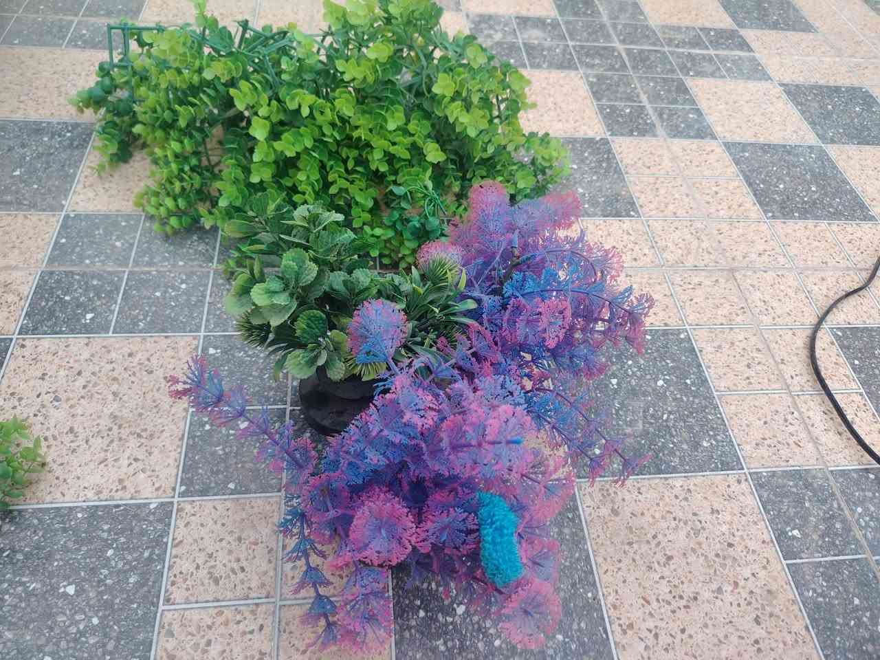 السلام عليكم
متاح حوض اسماك قياس 30/50
مع كامل ملحقاته
ما اعرف اسعارهن قيم وأخذ 
***********
