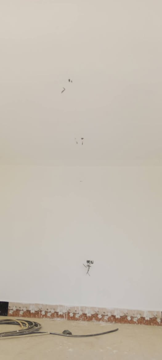 لباخ متوفر للعمل جص بورك اسمنت داخل دلي عباس وخارج ***********
