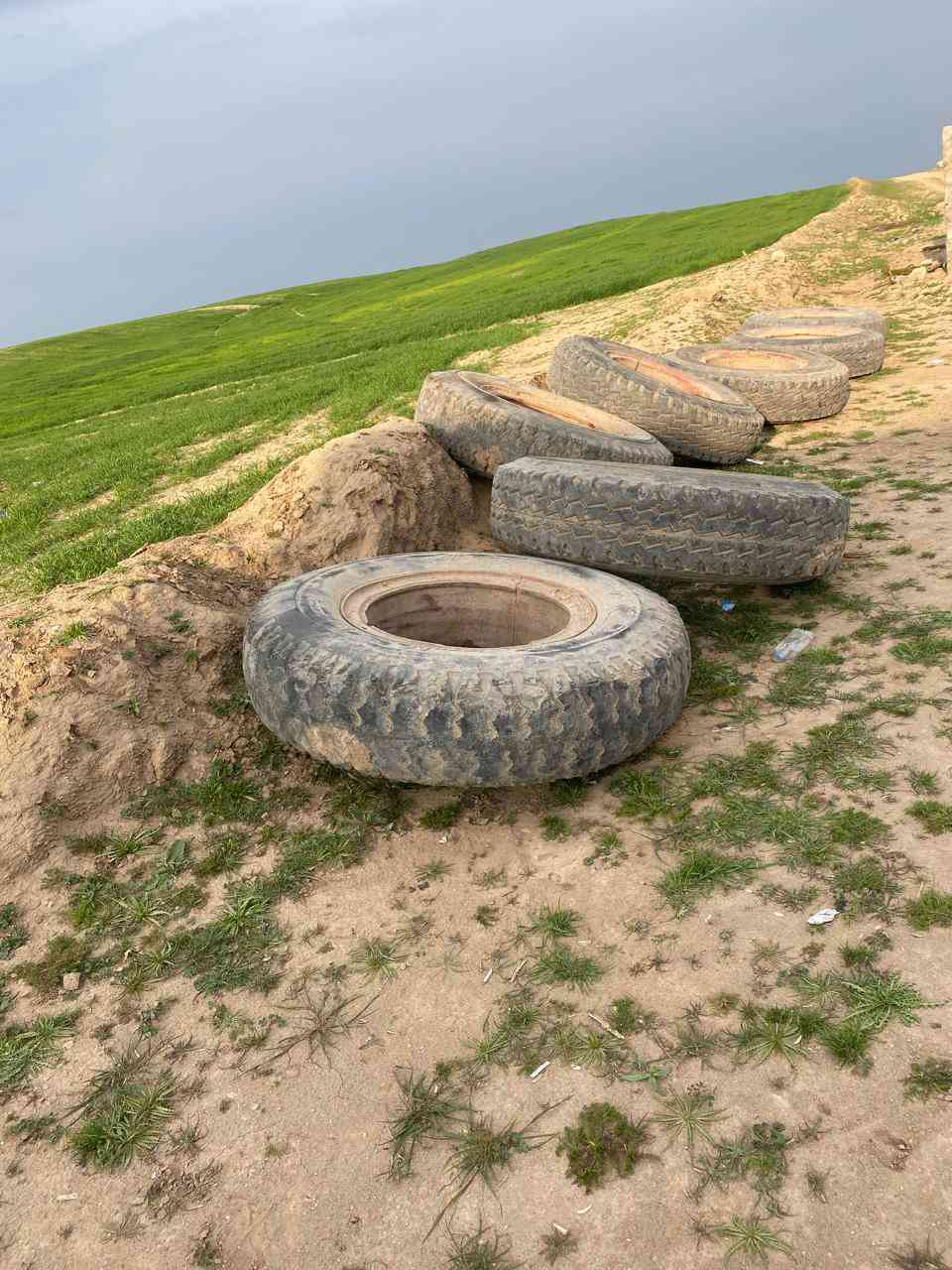 سلام عليكم اللبيع تواير ٢٤نص عمر كامل معا وياله اسعر علا ارغم ***********
