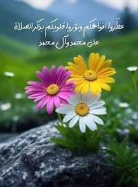 مجمع ابو تراب السكني • ٢٤٠م • غرفتين