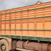 شاحنة • للبيع • راعيه