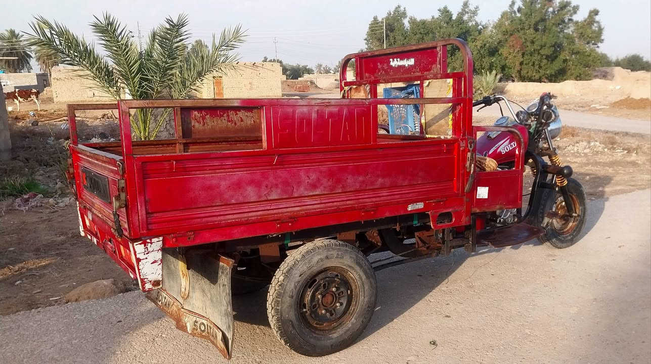 سلام عليكم سلطان مكفول من كلشي مكان قضاء كميت سعر 1500واتساب وتصال ***********😉اوراق اصولي بسمي
