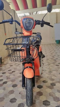 دراجة شحن • استخدام شهرين • كوت الشهداء